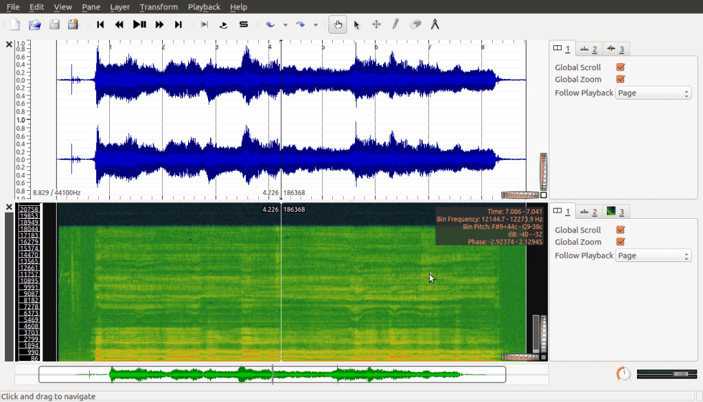 A screenshot displaying the waveform of an audio recording adjacent to its spectrogram in sonic visualizer.