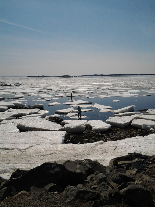 People standing on ice 