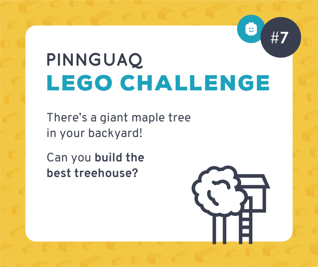 Pinnguaq's Lego Challenge #7 card.