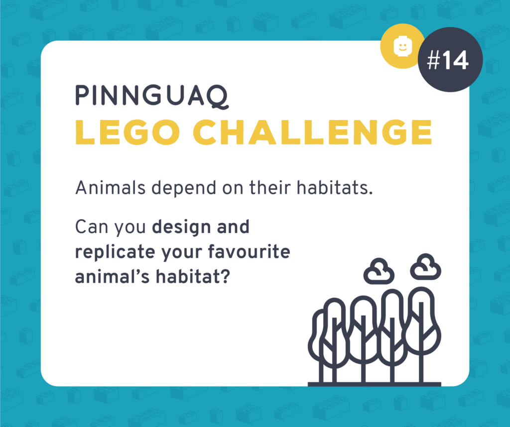 Pinnguaq's K–3 Lego Challenge #14 card.