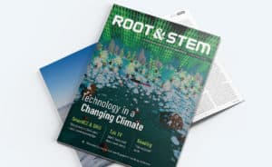 Root &#038; STEM