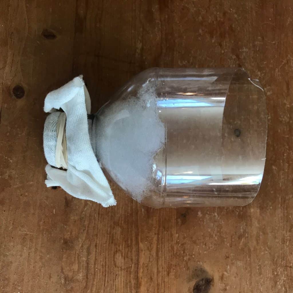 A side view of the water bottle with cloth covering the lid.