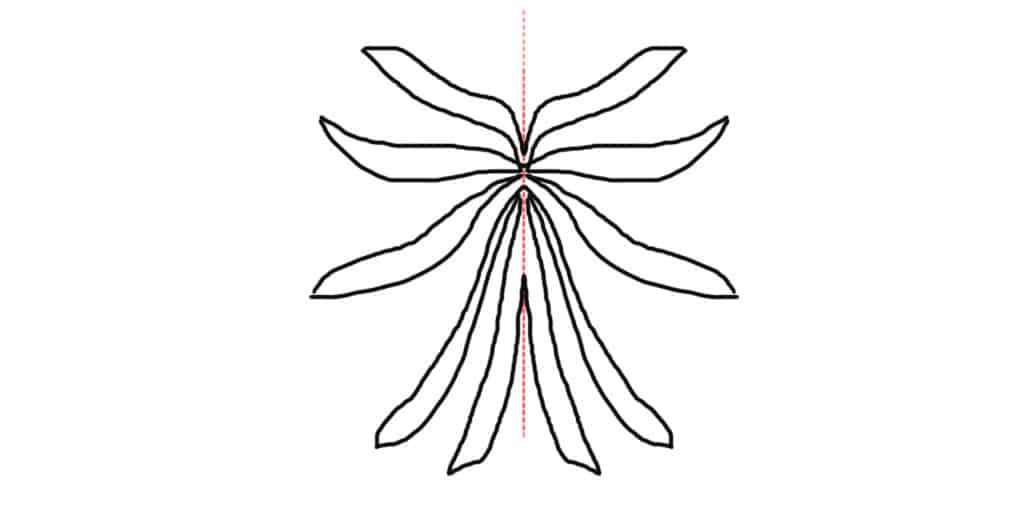 Displaying symmetry on an y axis.