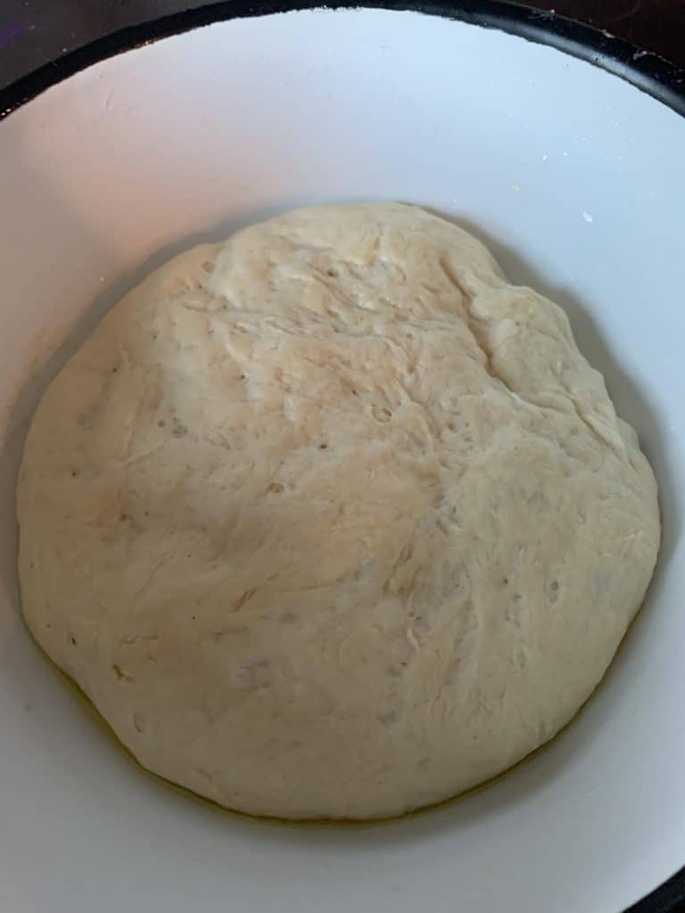 Pizza dough sitting in a bowl.