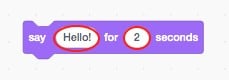 A Looks block (purple code blocks) in Scratch: Say Hello! for 2 seconds.