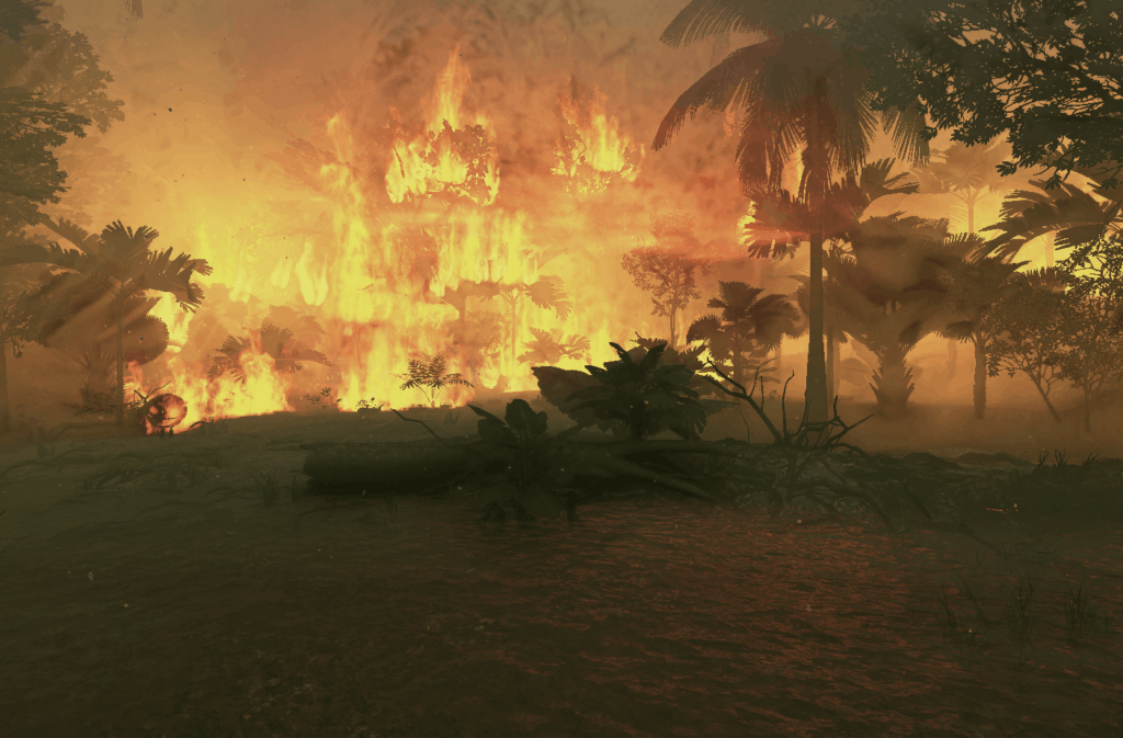 A virtual tour of the destructive fires affecting the Amazon Rainforest.