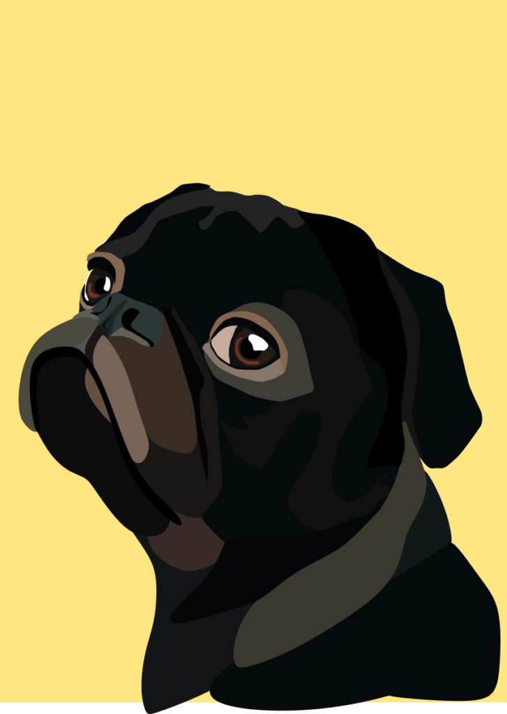 A pug in various shades of brown and black, drawn by digital artist Alyssa Amell.