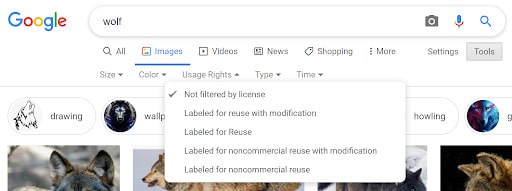 A Google image search with usage right settings applied.