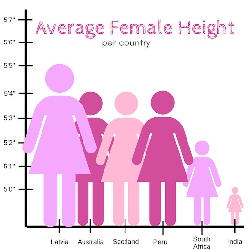 A sample graph about average female height.