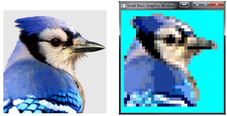 A photo of a blue jay beside a pixel art image of a blue jay created in Small Basic.