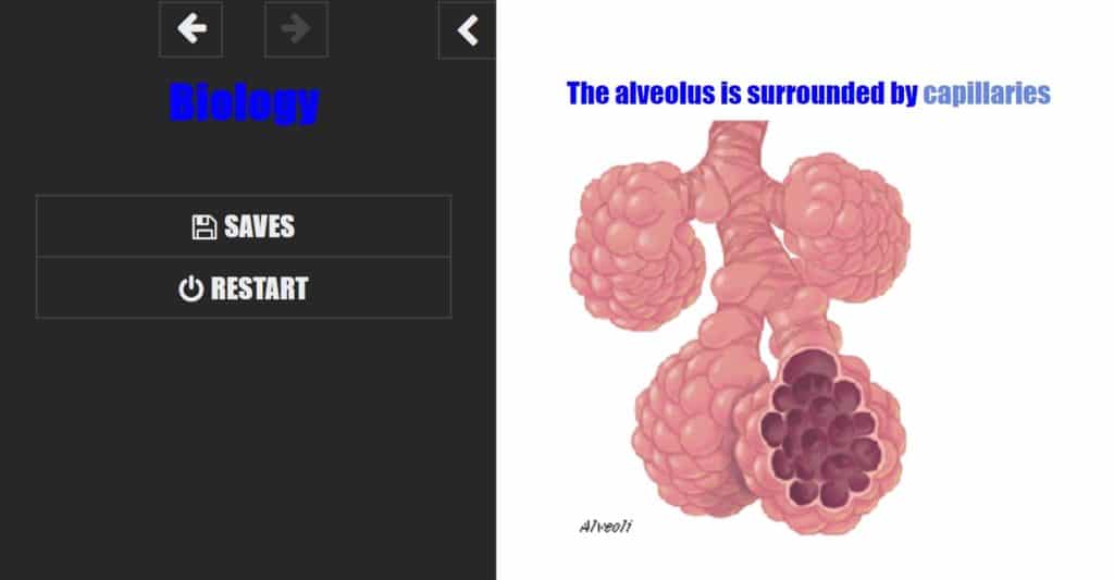 Twine story being played with a menu on the left that displays the title Biology and has the options to save and restart. On the right there is an illustration of an alveolus. 