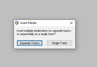The insert media window, giving users options to insert multiple media items on separate tracks or sequentially on a single track.