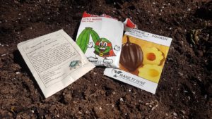 Three packages of seeds laying on some dirt. From left to right there is corn, beans, and squash.