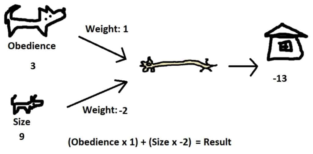 Obedience and size.