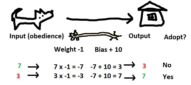 input and output with negative numbers.