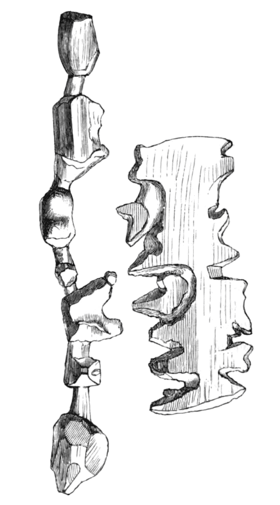 An artist rendering of two Ammassalik wooden maps, one of an island, and the other of a coast.
