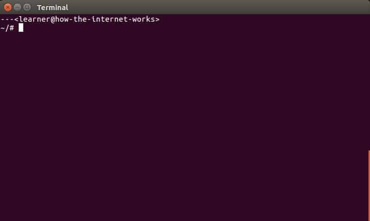 A screenshot displaying the connection information of a laptop using the Ubuntu operating system